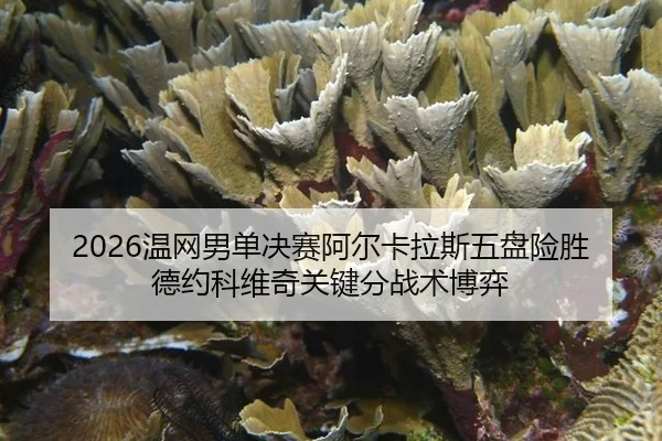 wen-wang-nan-dan-jue-sai-a-er-ka-la-si-wu-pan-xian-sheng-de-yue-ke-wei-qi-guan-jian-fen-zhan-shu-bo-yi-3-110.jpg